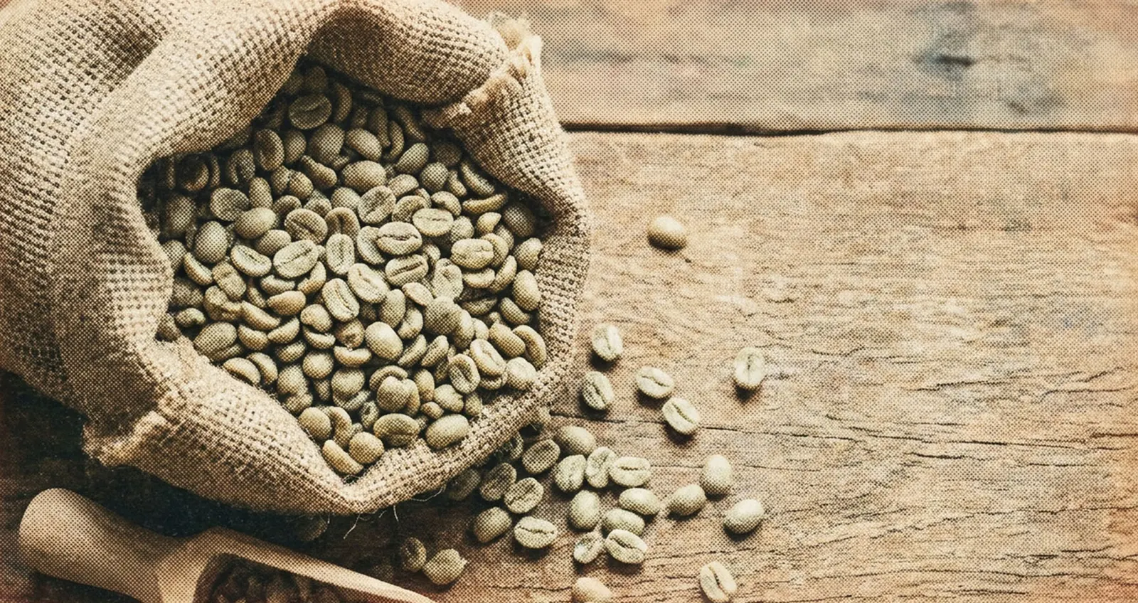 Jute sack of green coffee with beans on a wooden table